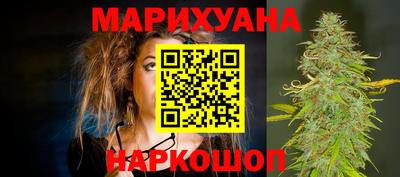 шишки Бийск