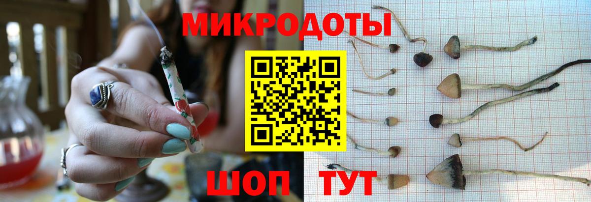 Галлюциногенные грибы MAGIC MUSHROOMS Казань